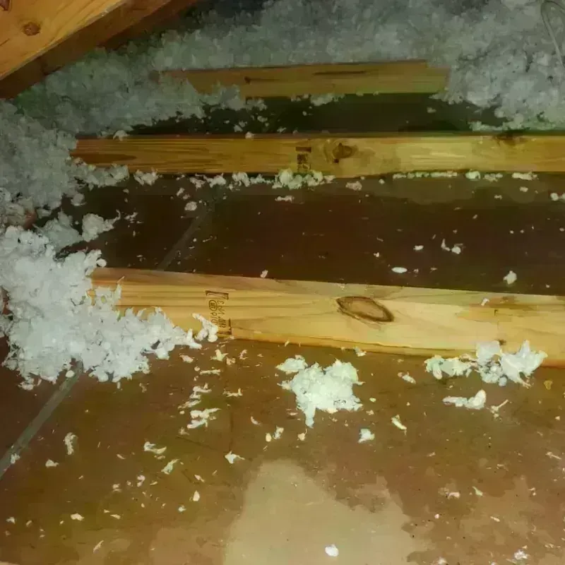 Attic Water Damage in Avondale Estates, GA