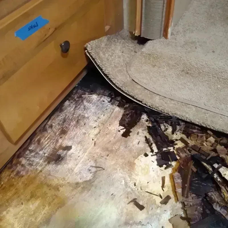 Best Wood Floor Water Damage Service in Avondale Estates, GA